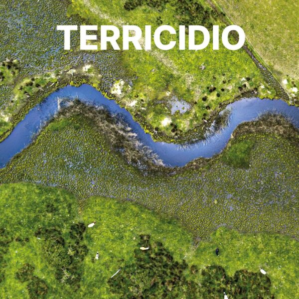 Terricidio