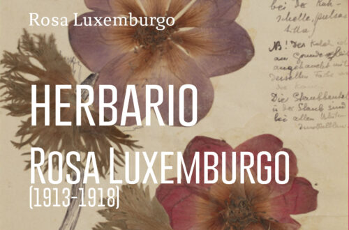 herbario-rosa-luxemburgo-tapa-2025 (1)